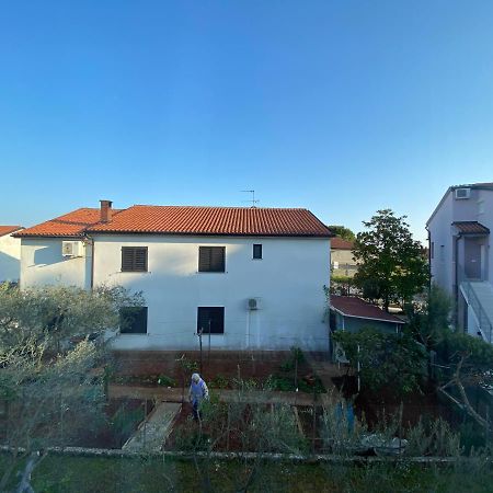 Apartman Milka Novigrad  ภายนอก รูปภาพ