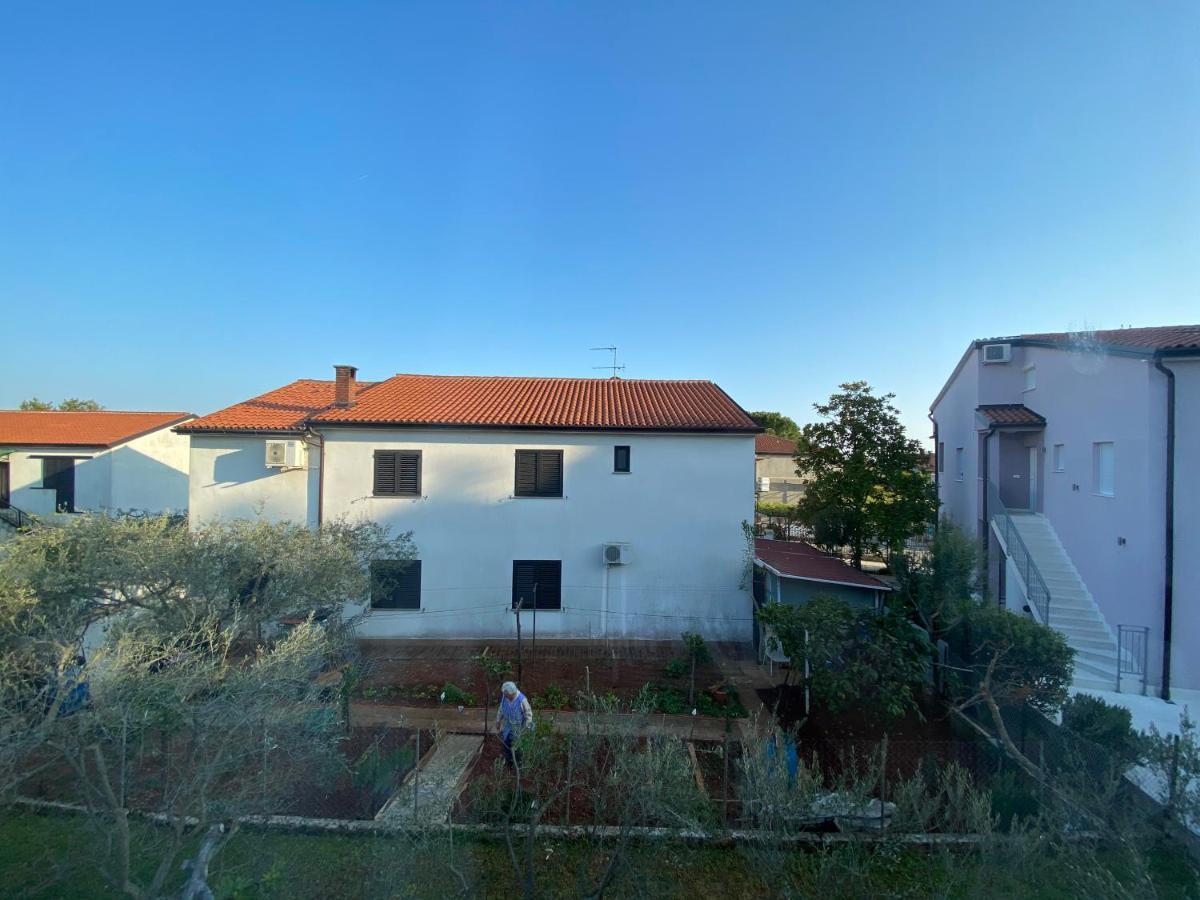 Apartman Milka Novigrad  ภายนอก รูปภาพ